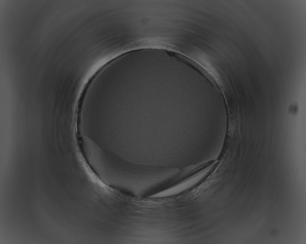 X0000091671144200708301454