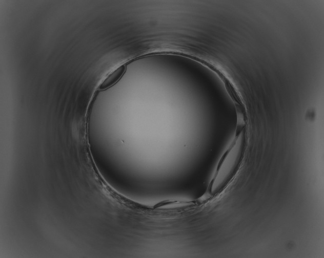 X0000091671145200708301454