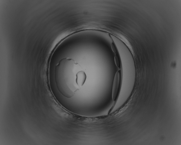 X0000091671146200708301454