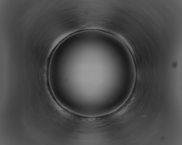 X0000091671149200708301454
