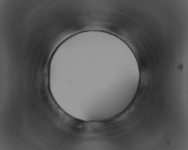 X0000091671150200708301454