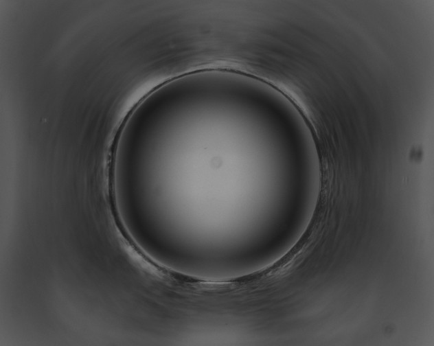 X0000091671151200708301454