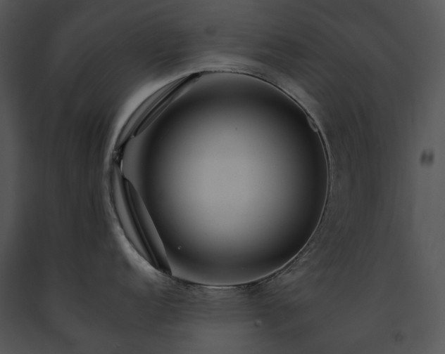 X0000091671152200708301454