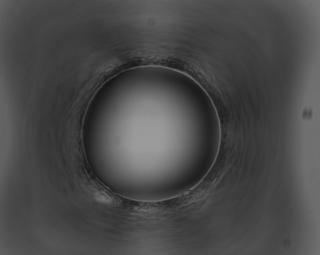 X0000091671153200708301453