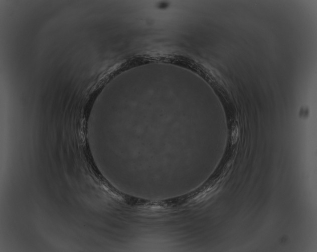 X0000091671156200708301453