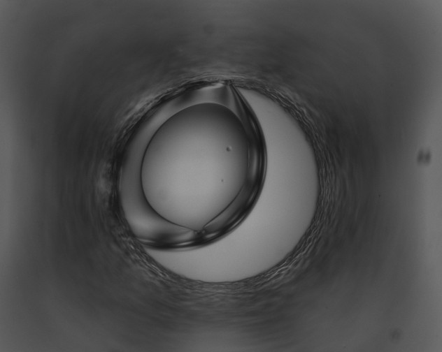 X0000091671157200708301453