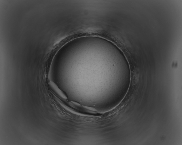 X0000091671158200708301453