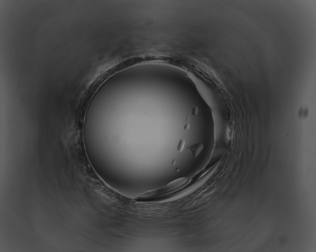 X0000091671160200708301453