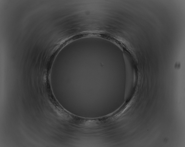 X0000091671161200708301453