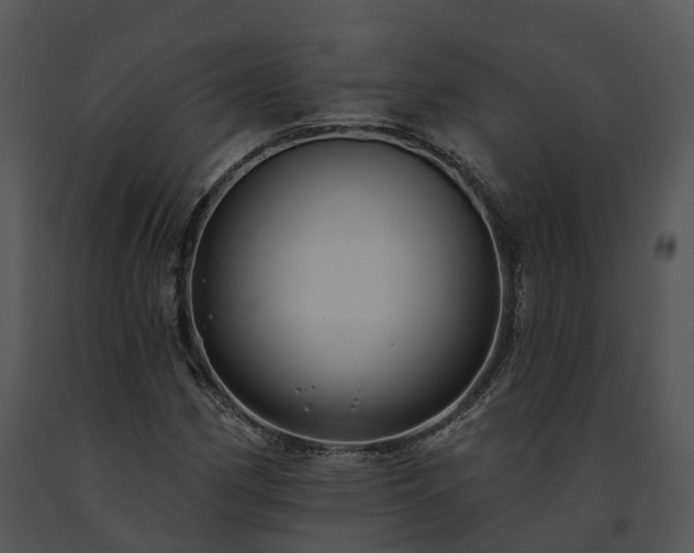 X0000091671162200708301453
