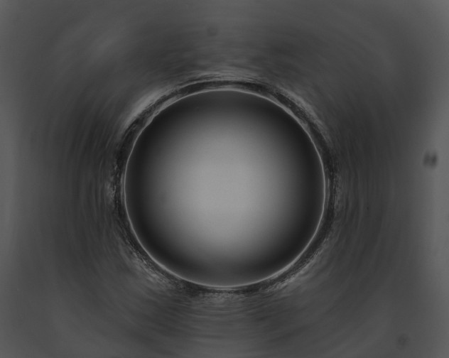 X0000091671163200708301453