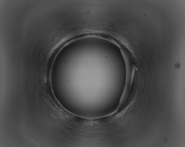 X0000091671165200708301453