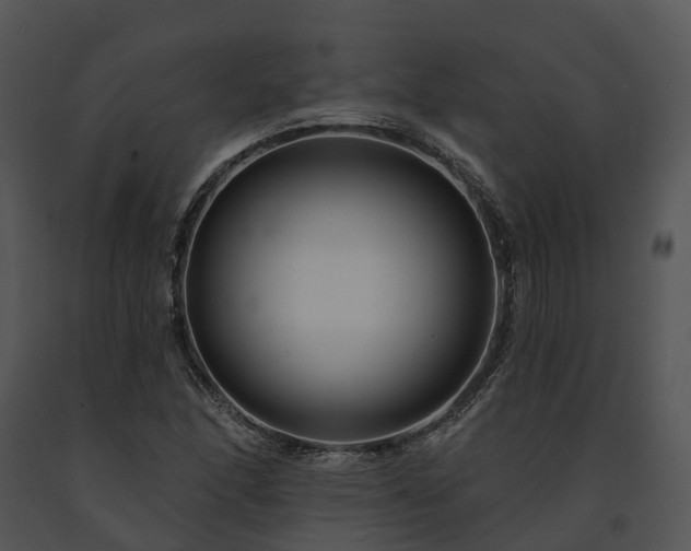 X0000091671166200708301453