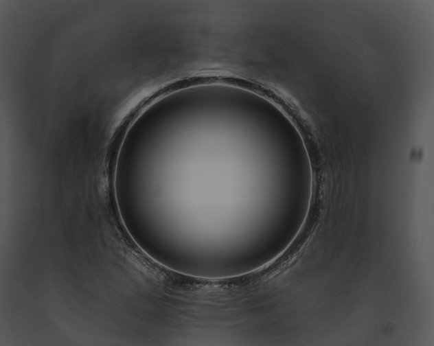 X0000091671167200708301453