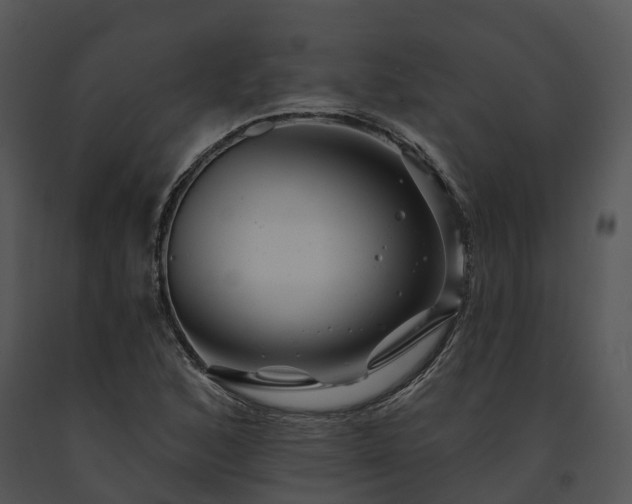 X0000091671168200708301453