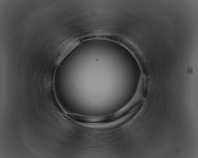 X0000091671169200708301453