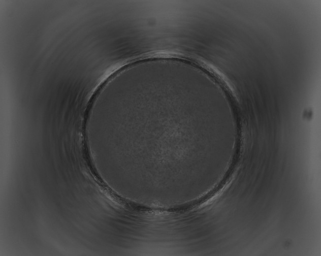 X0000091671170200708301453