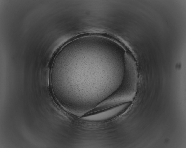 X0000091671171200708301453