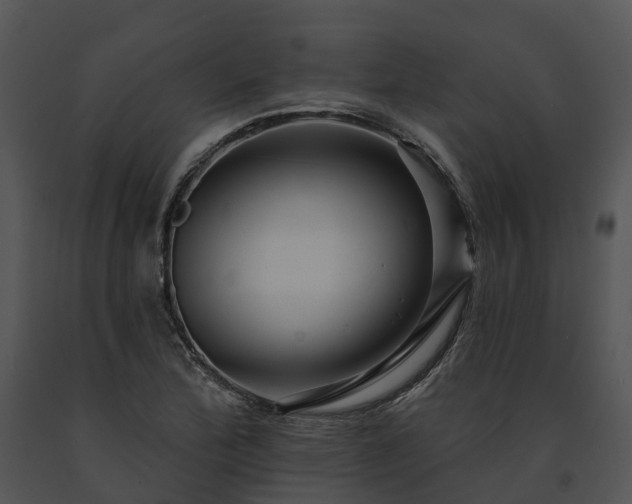 X0000091671172200708301453