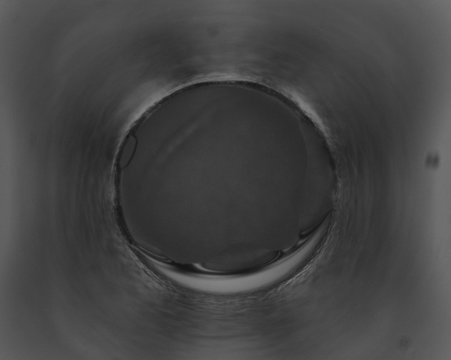 X0000091671173200708301453