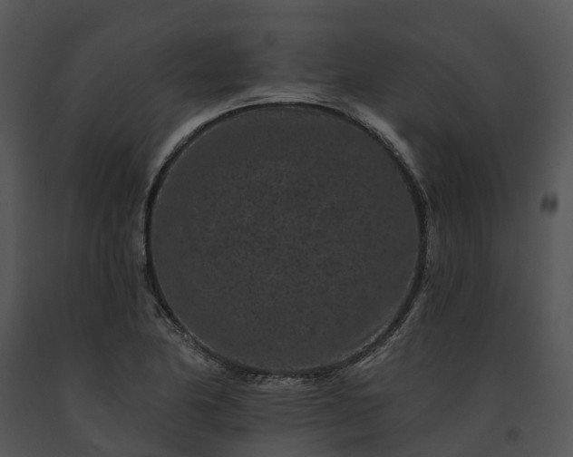 X0000091671174200708301453