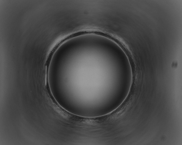 X0000091671175200708301453