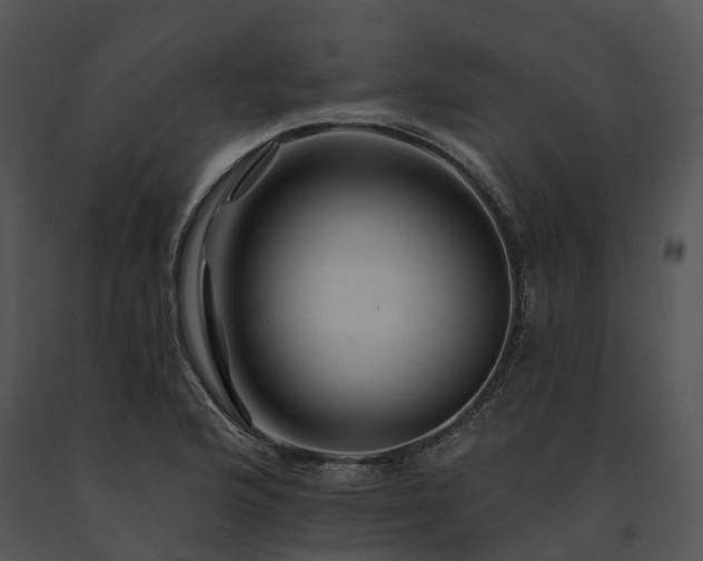 X0000091671176200708301453
