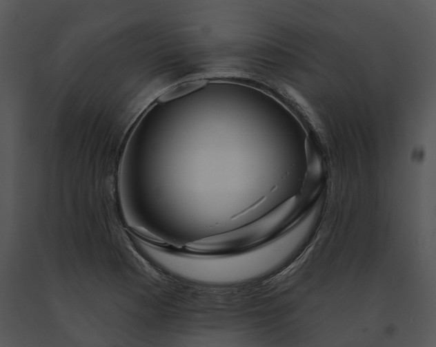 X0000091671177200708301453