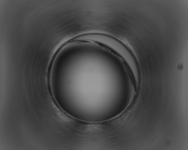 X0000091671181200708301453