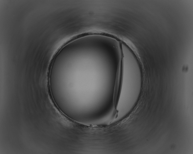 X0000091671183200708301453