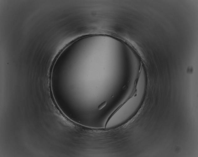 X0000091671184200708301453