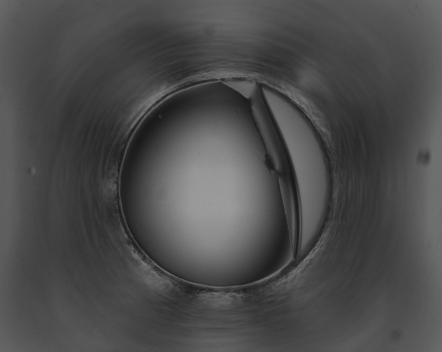 X0000091671185200708301453