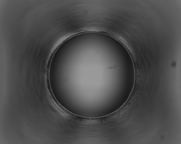 X0000091671187200708301453