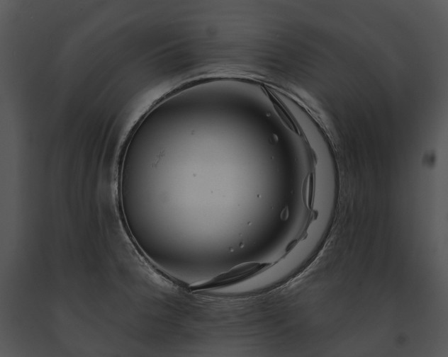 X0000091671188200708301453