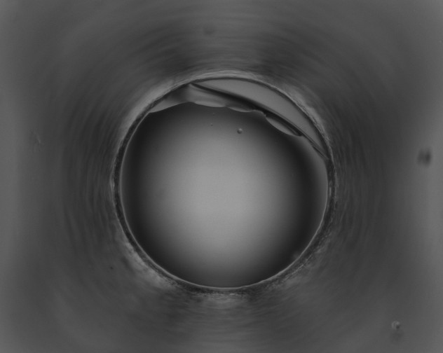 X0000091671189200708301453