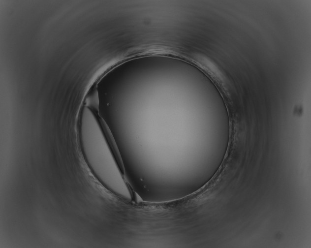 X0000091671190200708301453