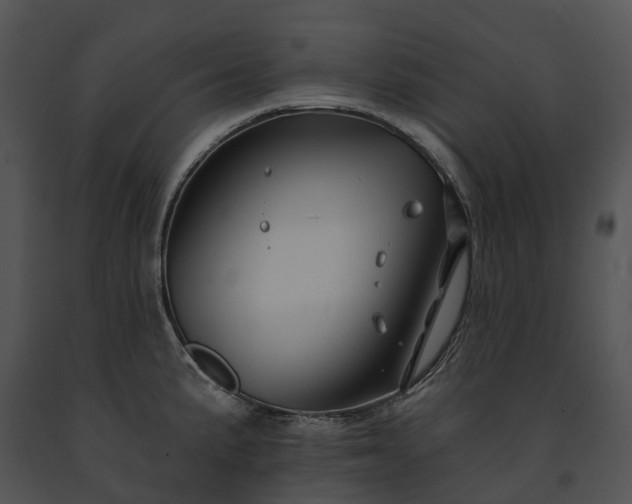 X0000091671191200708301453