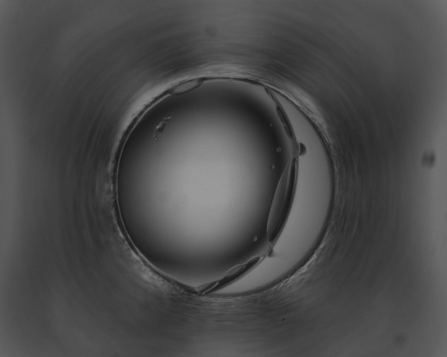 X0000091671192200708301453