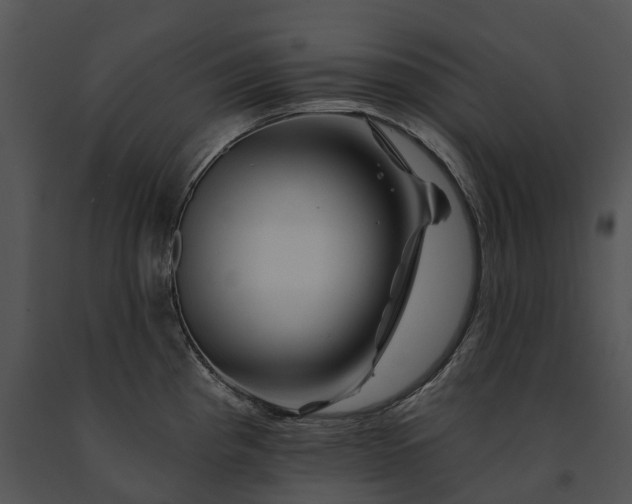 X0000091671193200708301453