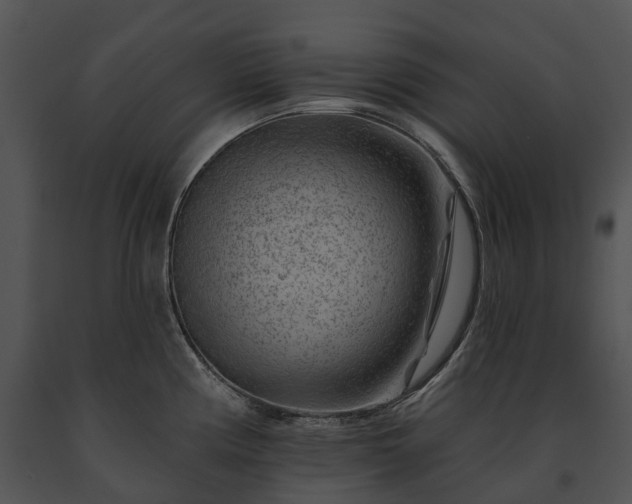 X0000091671194200708301453
