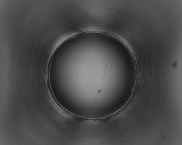 X0000091671195200708301453
