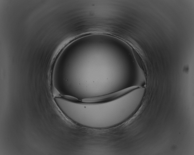 X0000091671196200708301453