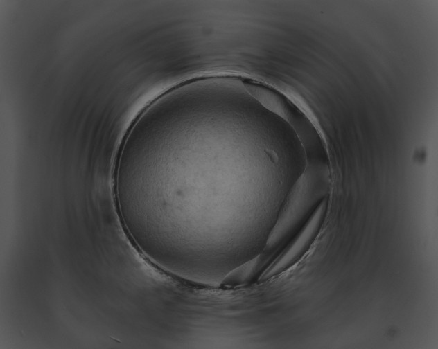 X0000091671197200708301453