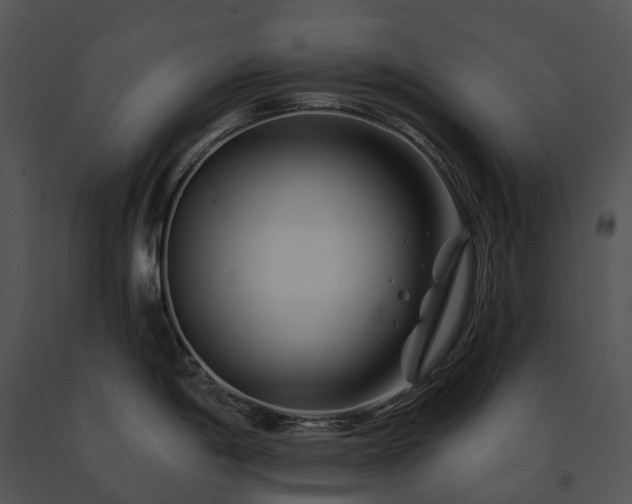 X0000091671198200708301453