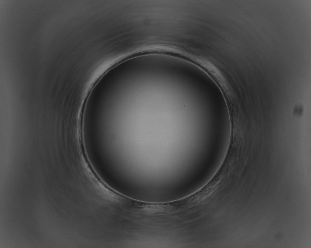 X0000091671199200708301453