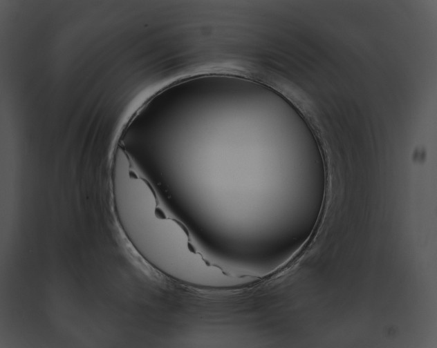 X0000091671200200708301453