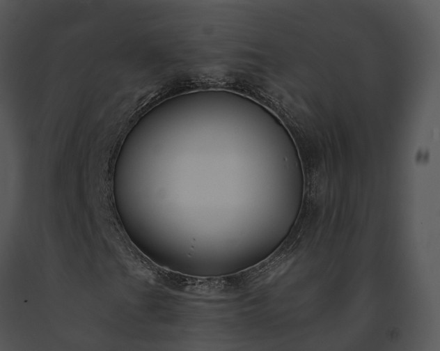 X0000091671201200708301452