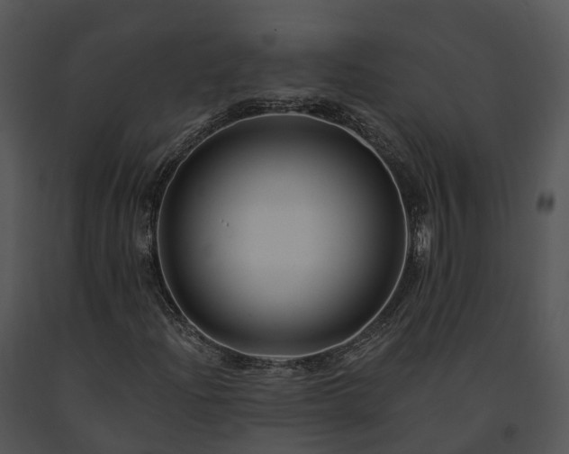 X0000091671204200708301452