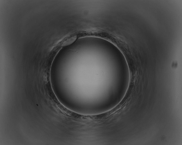 X0000091671205200708301452