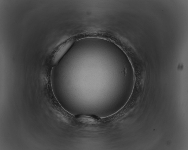 X0000091671206200708301452